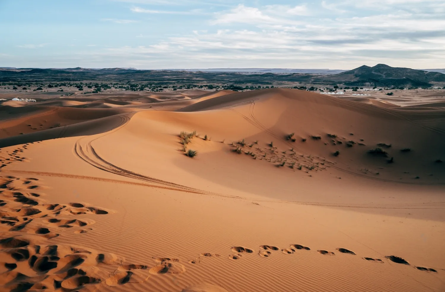 Day 4: Exploring the Desert and Amazigh Life 