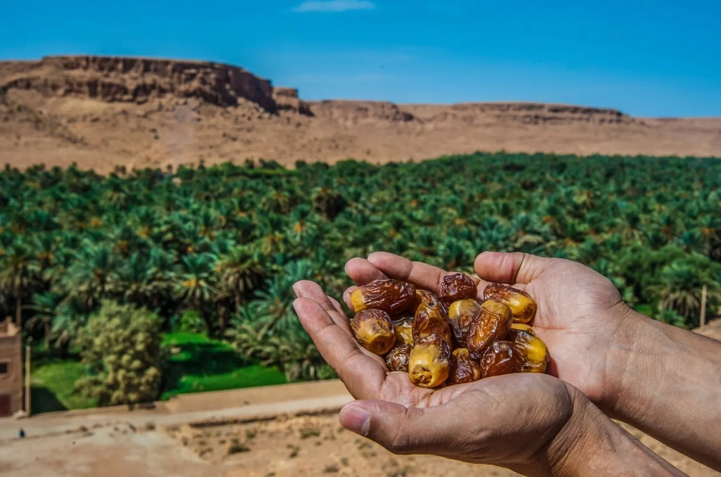 Day 6: Merzouga – Ziz valley – Midelt – Azrou – Ifrane-Fes